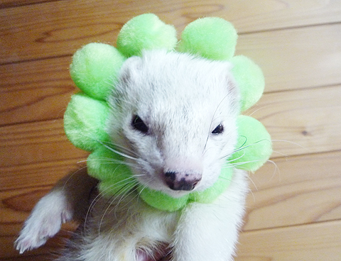 へびをイメージ？