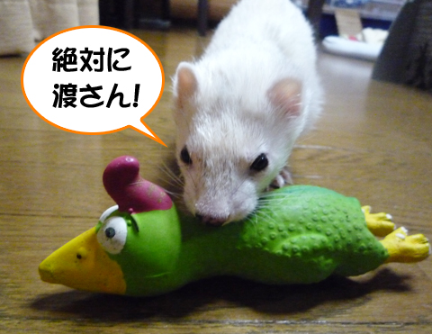 絶対に渡さん！！