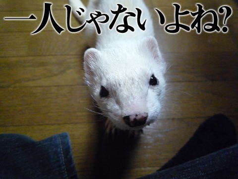 一人じゃないよね？