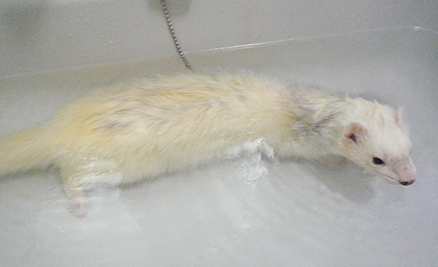 あったか、あったか