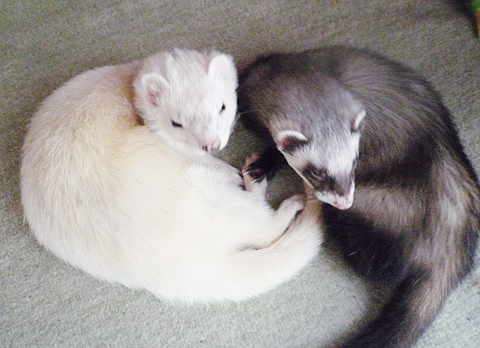 どうも、タロウとハルです。