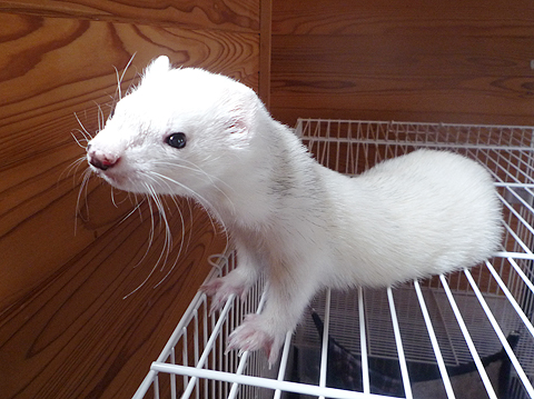 いい陽気です。