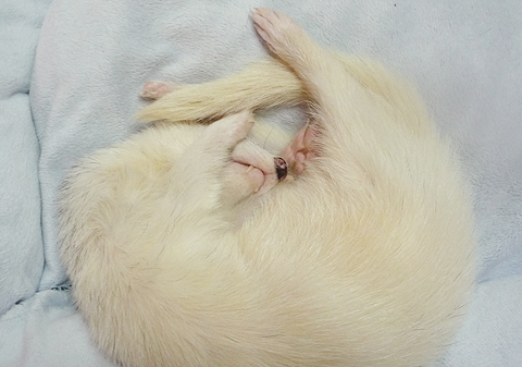 邪魔しないでね