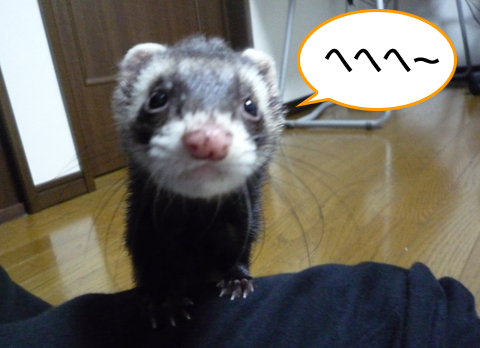 へへへ、一安心。