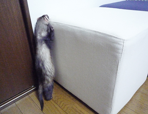 も、もうちょっと…