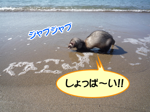 海の水って!!