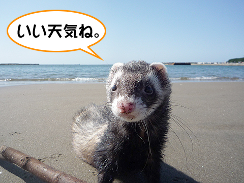 それにしてもいい天気です。