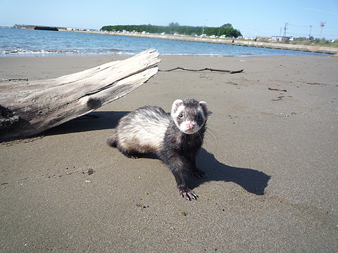 ちょっと疲れたかも