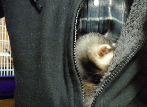 あったかいわー