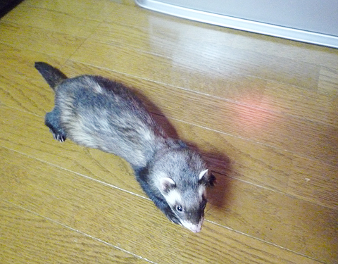 ストーブ前です。