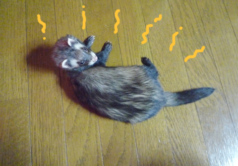 ここでも充分あったか