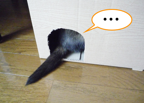 まさしく空っぽ