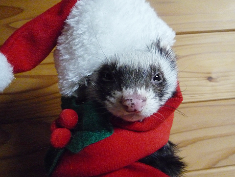 みんな幸せにネ。