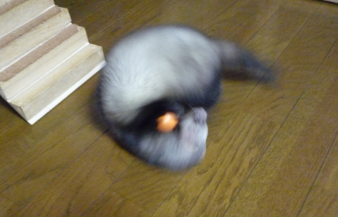 嬉しくてテンションが変です！