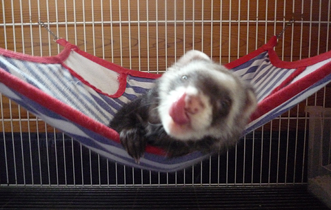 へへへっ、どう？