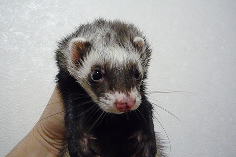 これから洗われます。