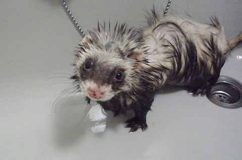 ふふふ、まだまだ抜けるわよ