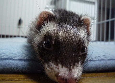 しょんぼりなワタシ