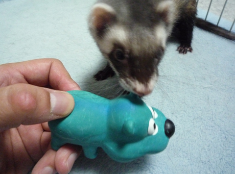 あ、なにするの！