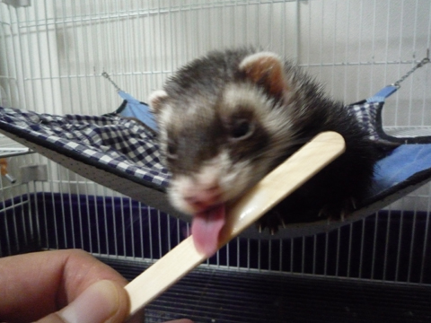 とうとう完食よ！