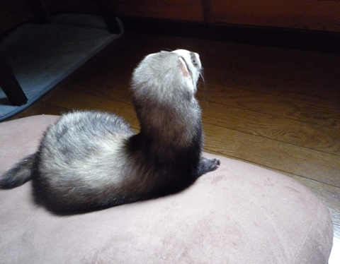 日差しが気持イイわ