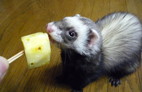 パイナップルよ！