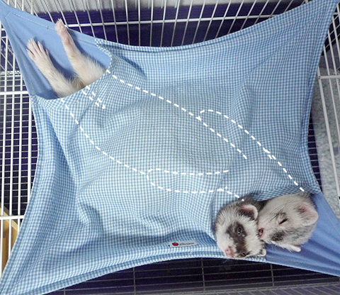 人間のようですね。