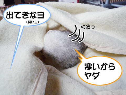 寒いからいいです