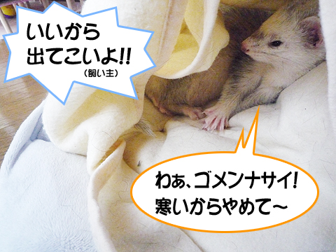 ああん、ごめんなさ?い！