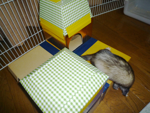 ゴソゴソ、モゾモゾ