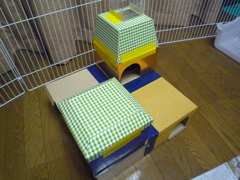 ちょっと上から