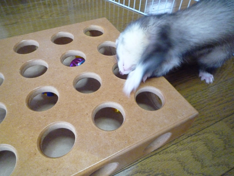 じゃ、こっち…