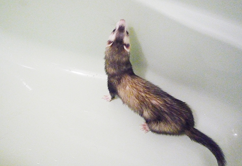 ツルツルで爪がひっかかりません！