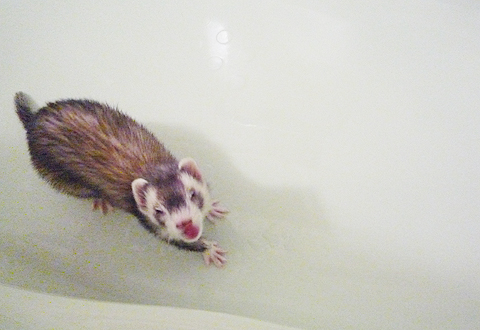 表情も強張りますヨ