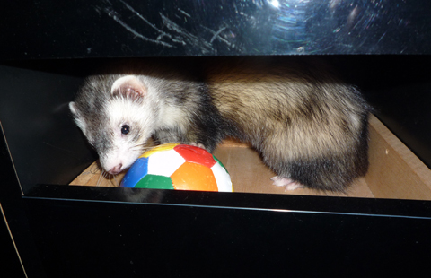 少しだけ安心です…