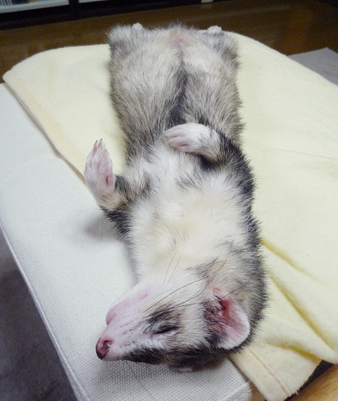 おおっスマート