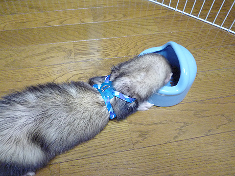 こんなポーズでいいですか？