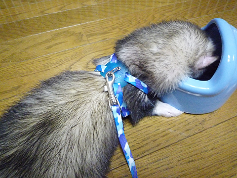 そろそろ姿勢を変えたいんですけど…