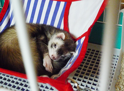 どこ見てるの？