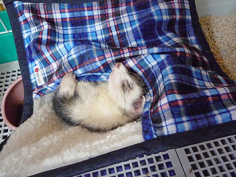 ああぁ?、気持ちいい