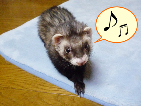 フフフ、ハルですよ。