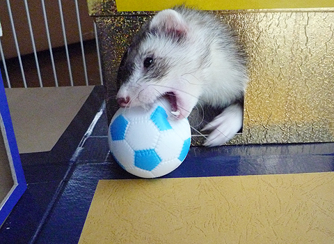 お尻から入るのがコツです