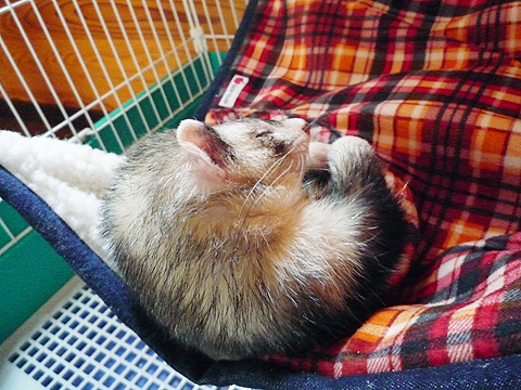 ブルッ、おぉ寒い