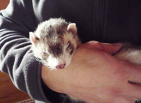 あれっ、いつのまに