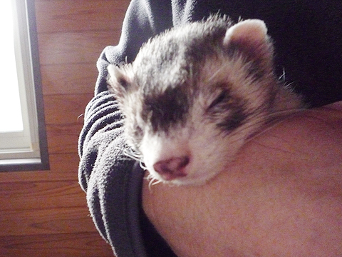 ポカポカですね