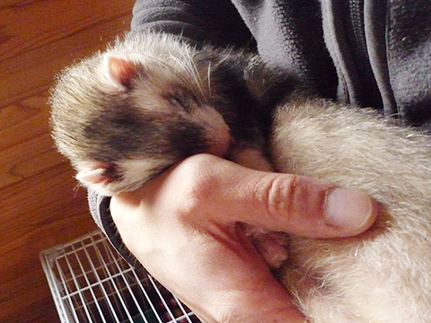 あぁ、夢の中に落ちていきます