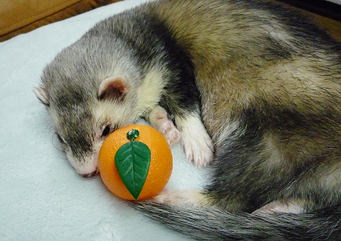 シャッターチャンスが早すぎ