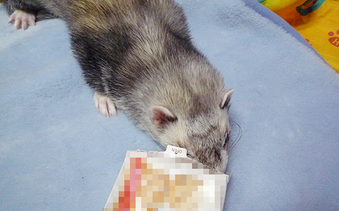 ヘンな模様ができました