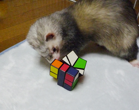 果たしてクリアできるのでしょうか？