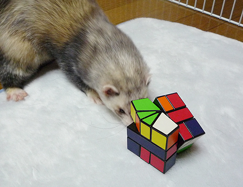 形もかわりますよ。